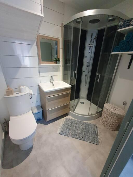 Roanne Centre, Appartement Refait A Neuf. Eksteriør billede