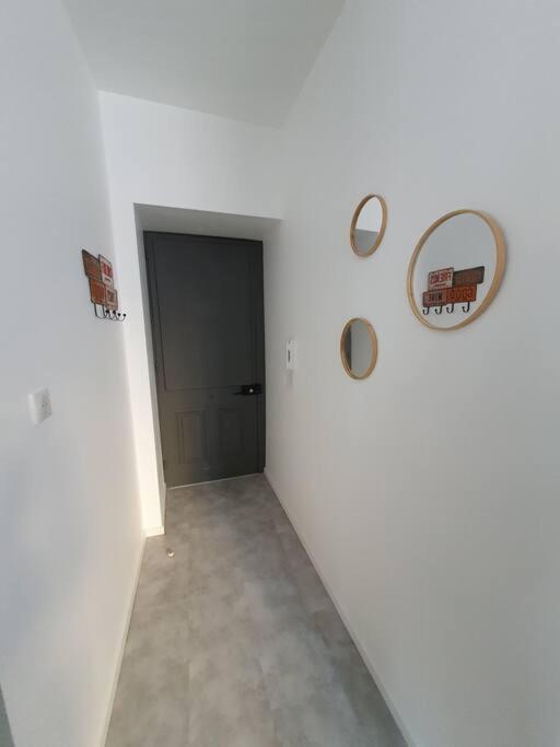 Roanne Centre, Appartement Refait A Neuf. Eksteriør billede